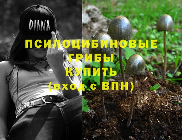spice Абаза
